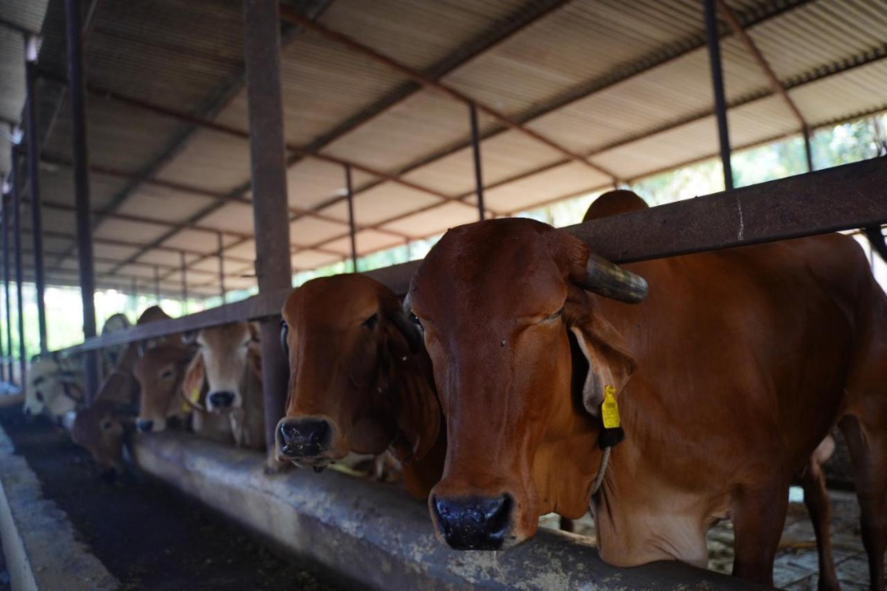 Vita Farms Titwala ภายนอก รูปภาพ